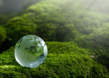 Environmental Monitoring and Testing (EMT)