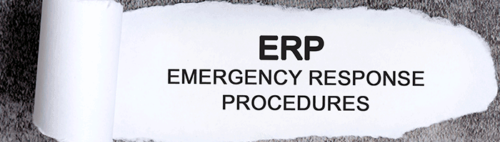 erp_56f50920-797e-4793-bad0-049c280b49ad.png