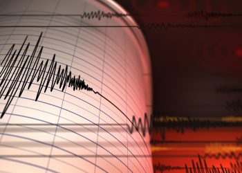 Seismic Assessment