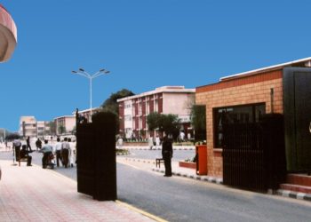 Allama Iqbal Open University