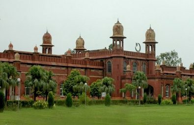 University of Agriculture Faisalabad University of Agriculture Faisalabad