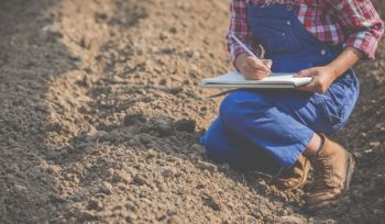 Mostap Soil Sampling