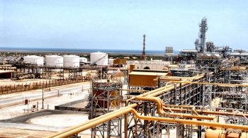 Hasdrubal Plant