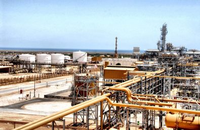 Hasdrubal Plant