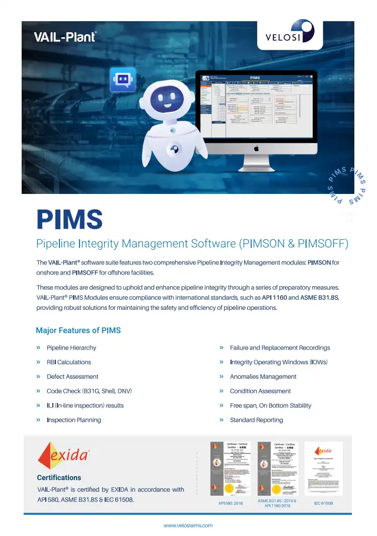 VAIL-PIMS Leaflet Thumbnail